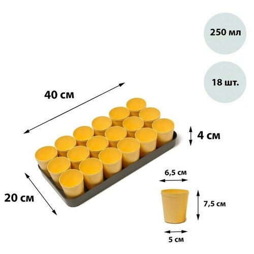 Набор для рассады: стаканы по 250 мл (18 шт.), поддон 40 × 20 см, цвет микс, Greengo поддон ящика для рассады 40 см оранжевый