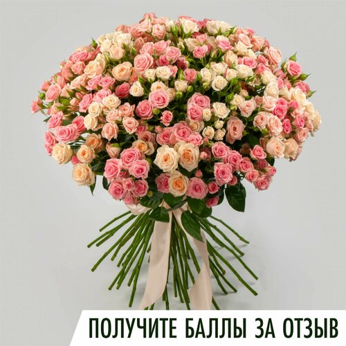 Букет из Кустовых роз, 51 шт. Живые свежие цветы LoVa Flowers