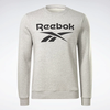 Фото #4 Свитшот Reebok RI FLC BIG LOGO CREW