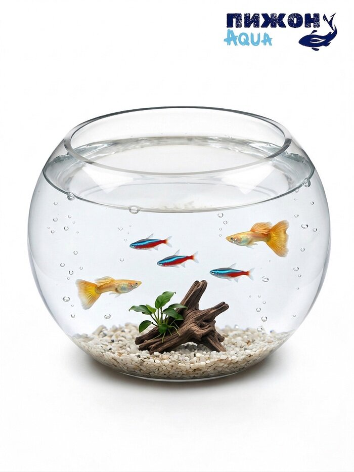 Аквариум круглый, 13.5×14.5 см, стекло, прозрачный