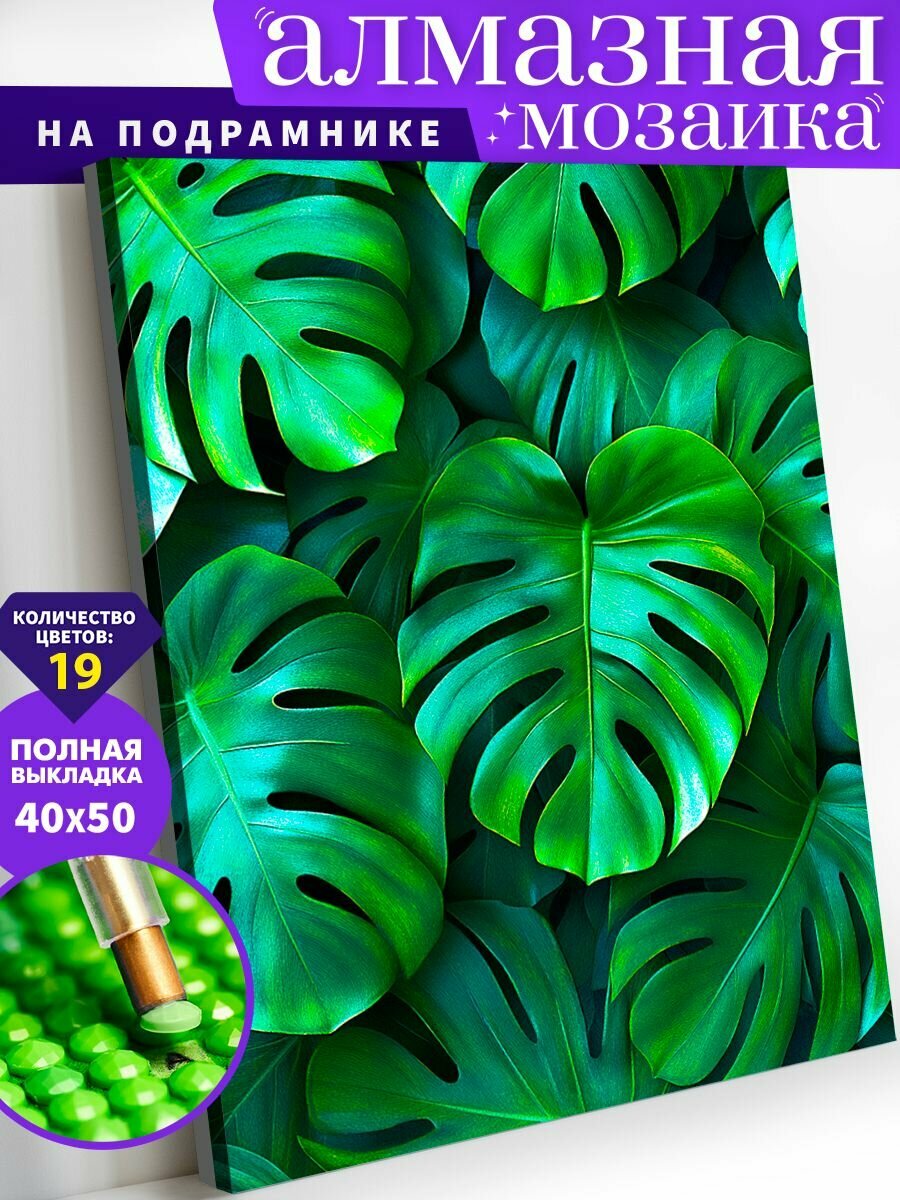 Алмазная мозаика холст на подрамнике 40х50 "Монстера" / Картина алмазная стразами