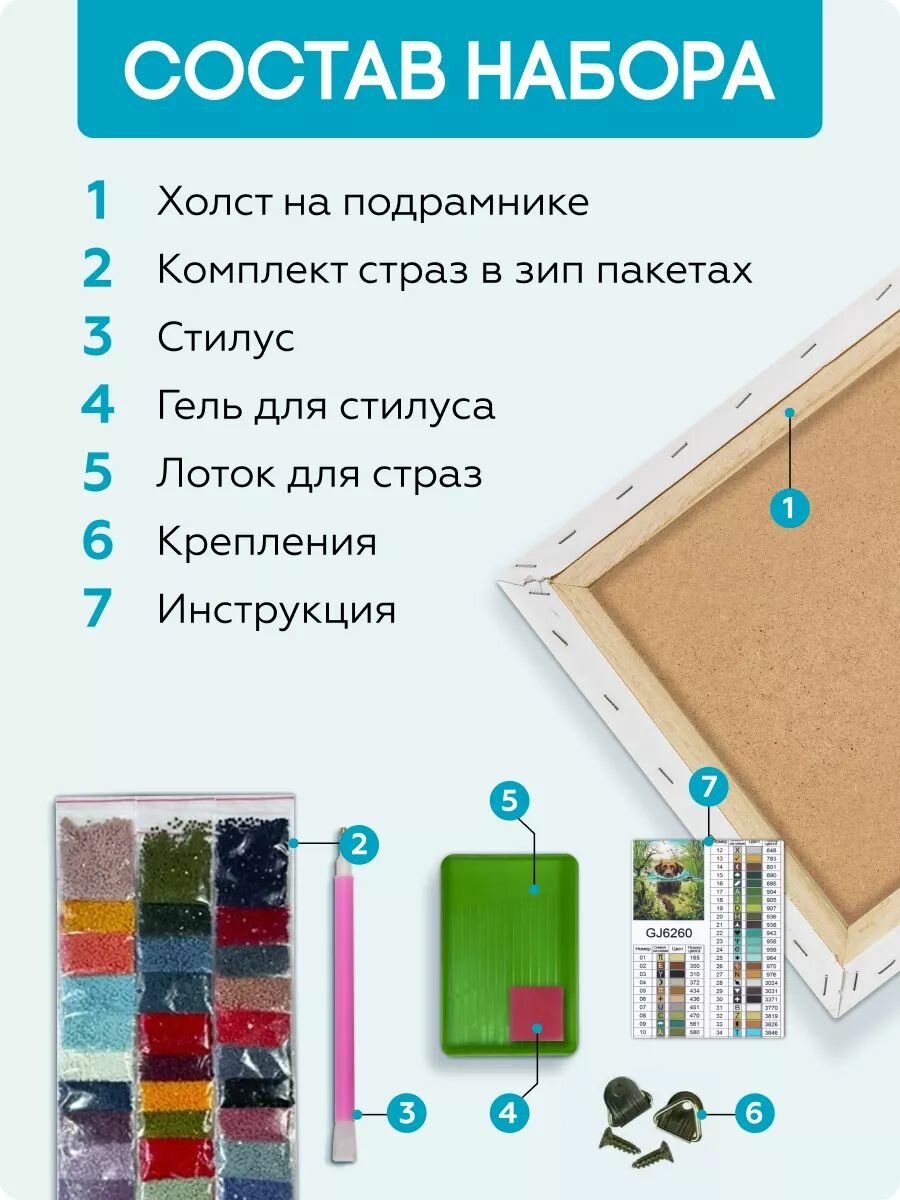 Алмазная мозаика на подрамнике 40х50полная выкладка Лабрадор