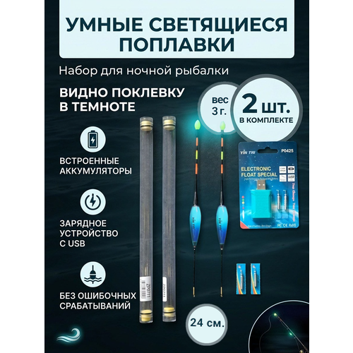 Комплект умных поплавков херабуна на карася 3 гр для ночной рыбалки 2 шт, 24 см в тубусе +зарядка + 2 аккумулятора