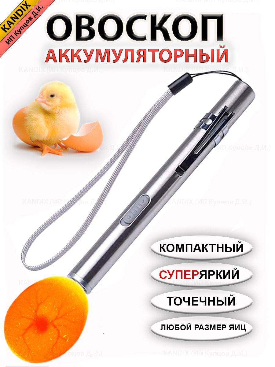 Овоскоп аккумуляторный для поверки яиц KANDIX Akumgray