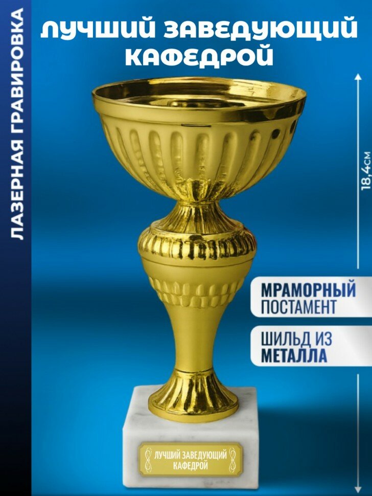 Кубок "Лучший заведующий кафедрой"