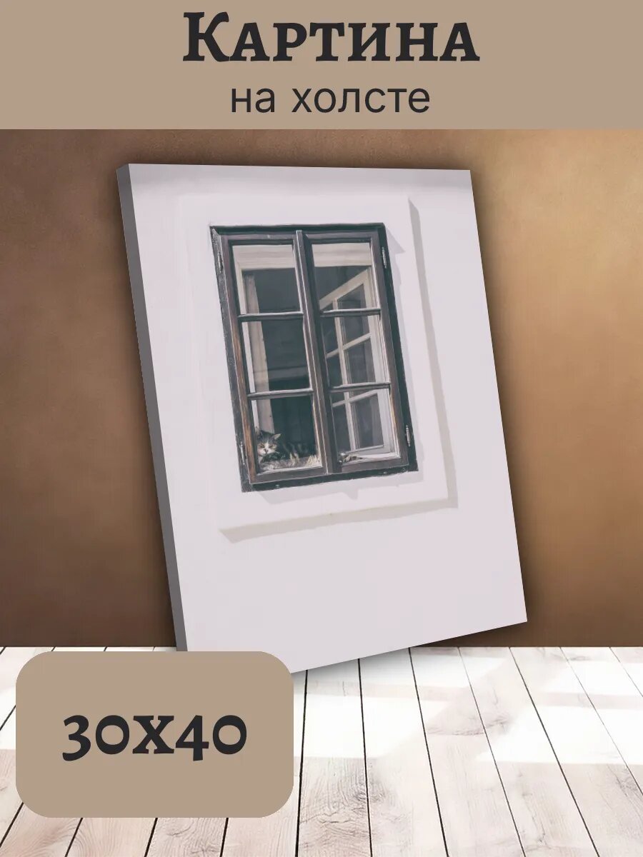Картина Постер Кот Кошка Cat 30x40 полосатый Тэбби У Окна