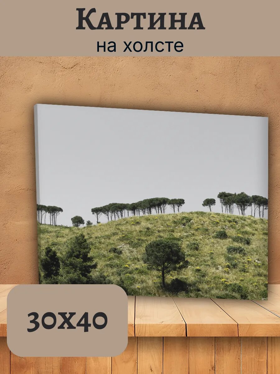 Картина Италия Italy 30x40 тосканский пейзаж с соснами