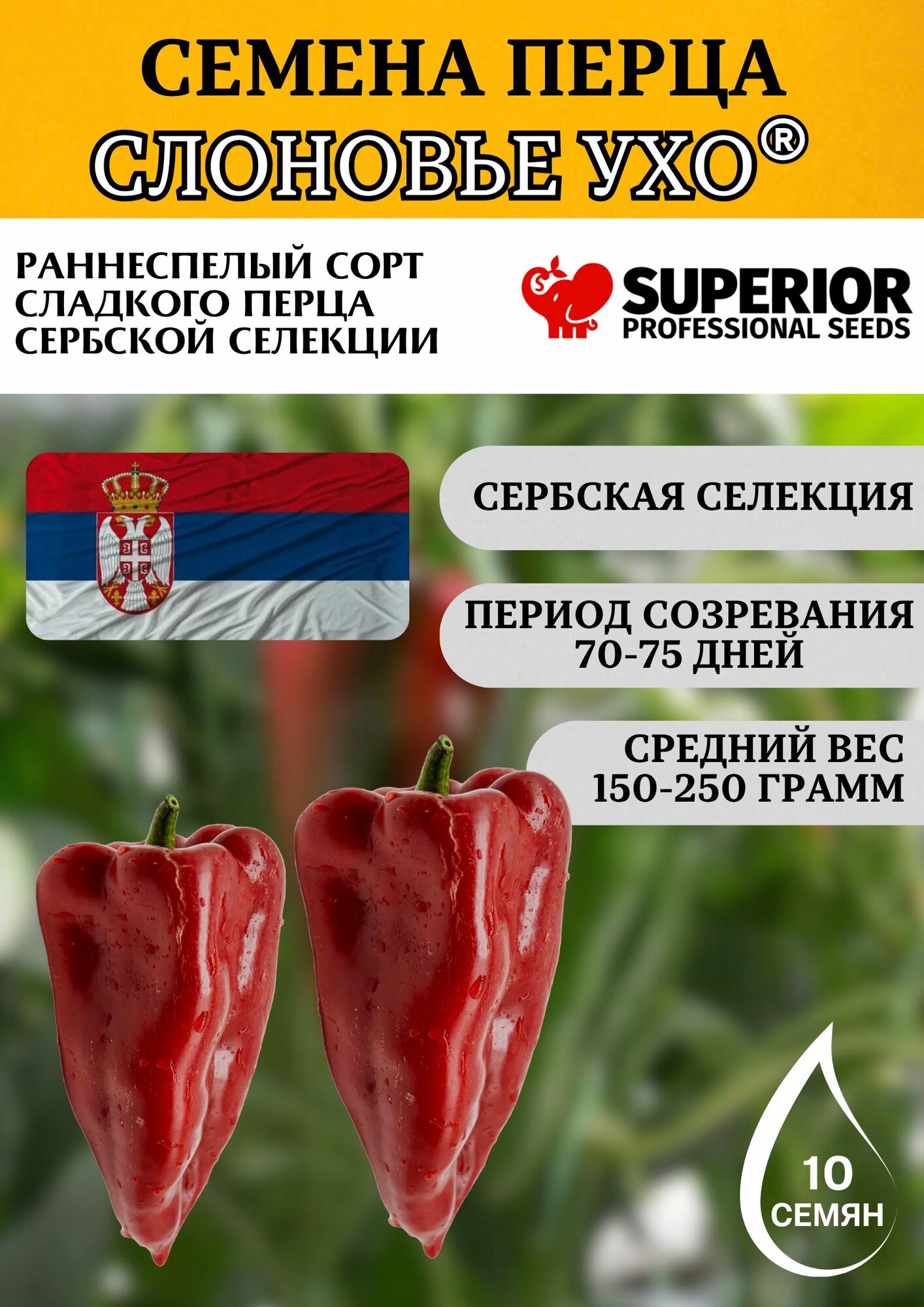 Слоновье ухо перец сладкий 10 семян Superior seeds