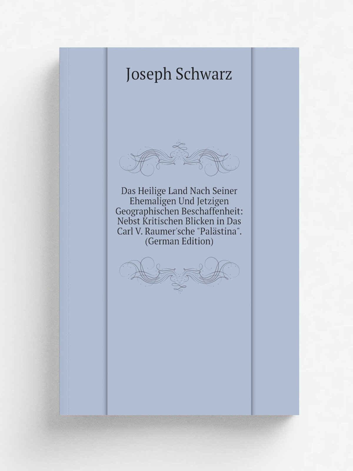 Das Heilige Land Nach Seiner Ehemaligen Und Jetzigen Geographischen Beschaffenheit: Nebst Kritischen Blicken in Das Carl V. Raumer'sche "Pal.stina". …