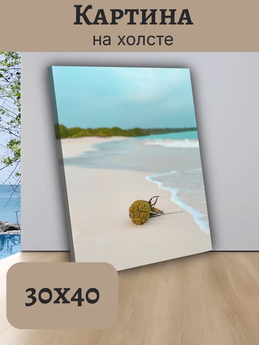 Картина Постер Мальдивы Maldives 30x40 тропический Пляж