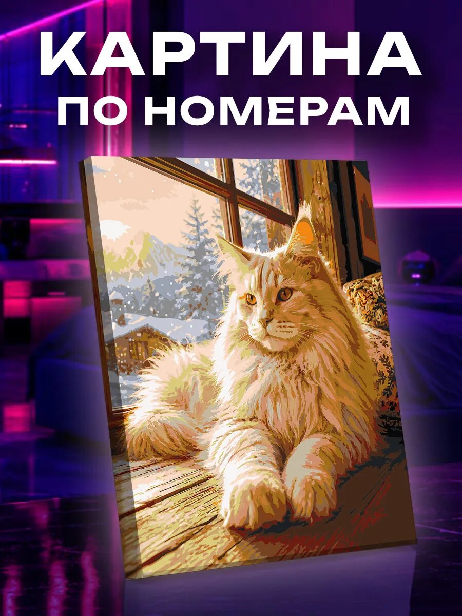Картина по номерам Уютный вечер мейн-куна у зимнего окна
