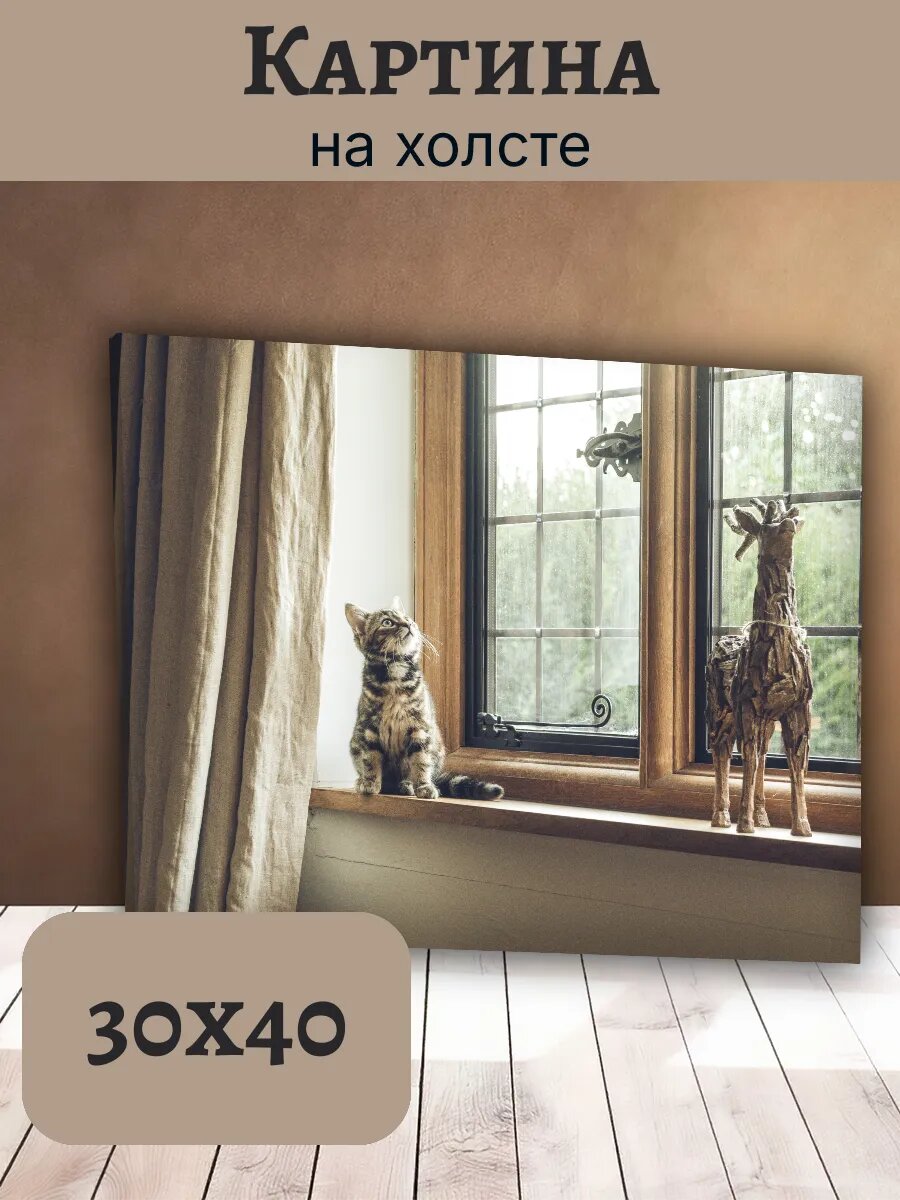 Картина Кот Кошка Cat 30x40 интерьерная с котенком