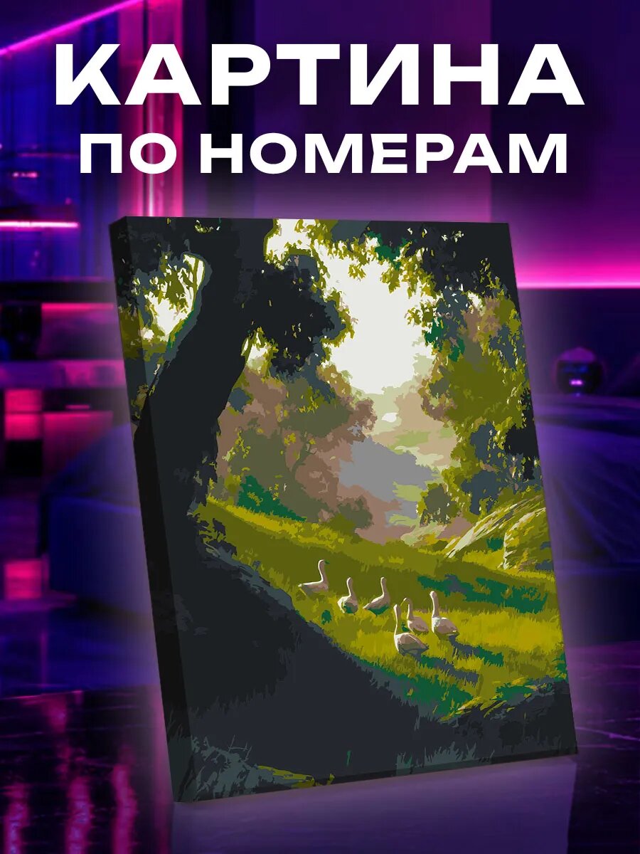 Картина по номерам Гуси
