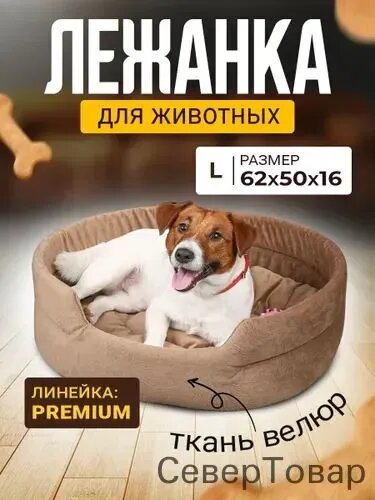 Лежанка для кошек и собак мелких и средних пород с бортиками Mad Lion Велюр 62х50 см