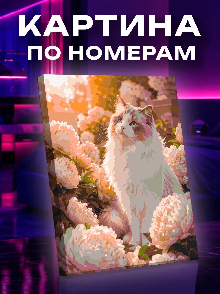 Картина по номерам Рэгдолл в цветущем саду на рассвете