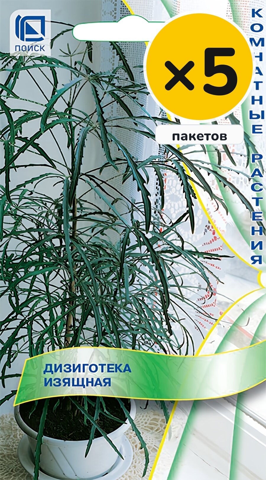 Семена дизиготеки (Дициготека) изящная, 5 шт, 5 пакетов, Поиск, многолетник, высота до 200 см