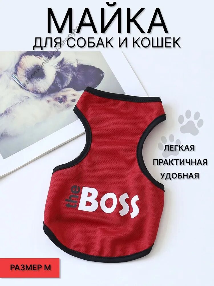 Одежда для животных