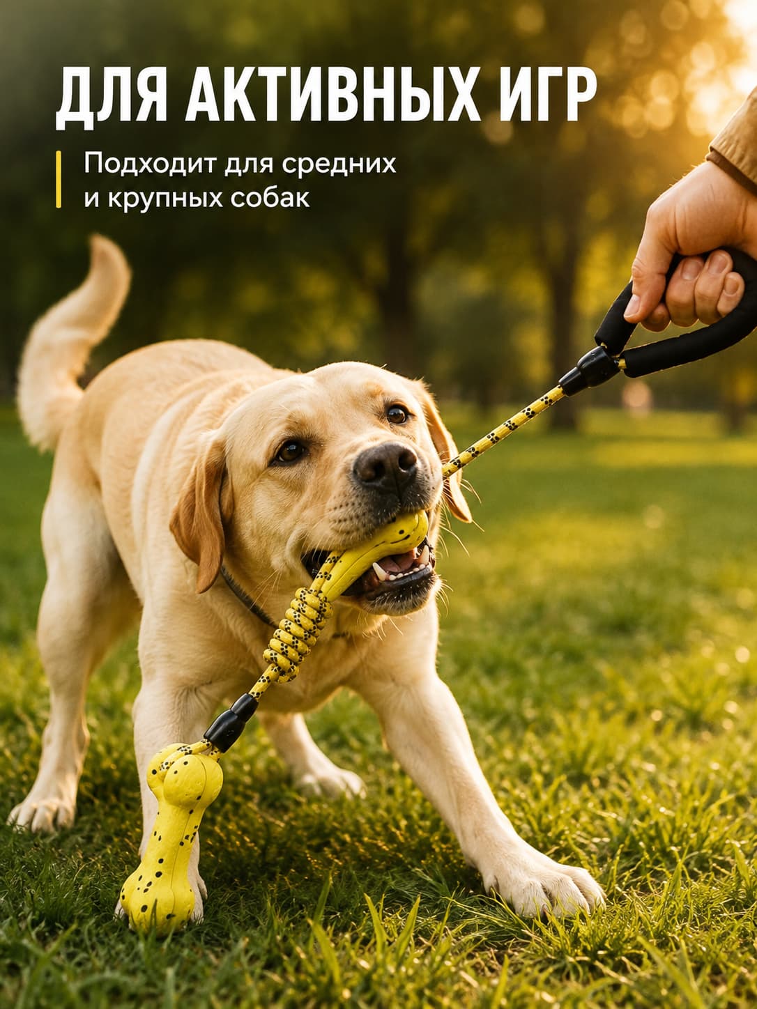 Игрушка для собак с канатом и косточкой, интерактивная жевательная игрушка для средних и крупных собак, апорт для тренировки, прочный аксессуар для питомца