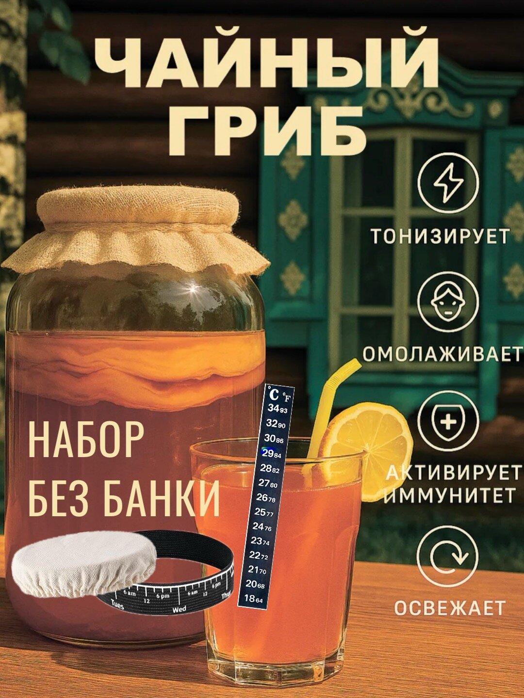Чайный гриб Комбуча