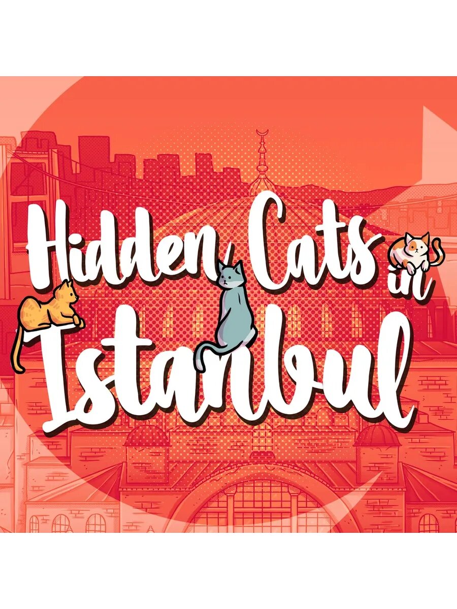 Hidden Cats in Istanbul PS4 & PS5
