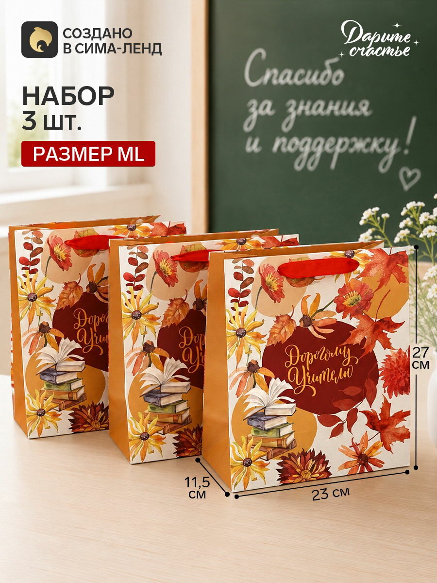 Пакеты подарочные "Дорогому учителю", набор 3 шт, ML 27x23x11.5 см