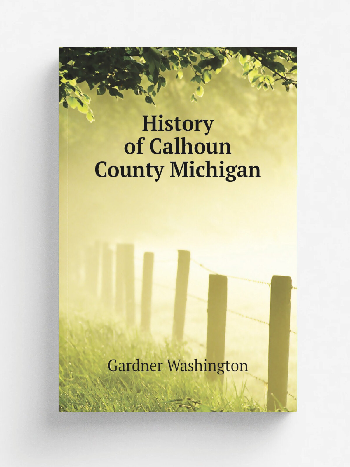 History of Calhoun County Michigan | Gardner Washington | Репринт