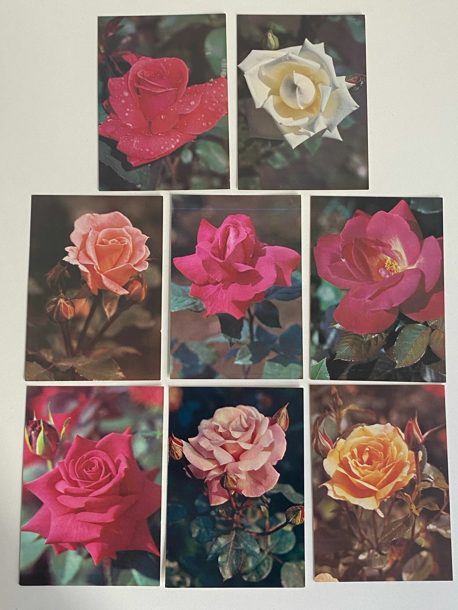 Набор винтажных открыток "Розы". СССР. 8 шт. Размеры: 15х10.5 см.