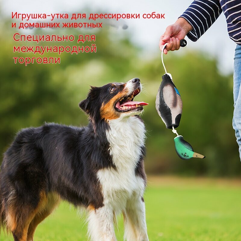Утка-игрушка для дрессировки собак, твердый материал EVA, игрушка для кусания на открытом воздухе, вода