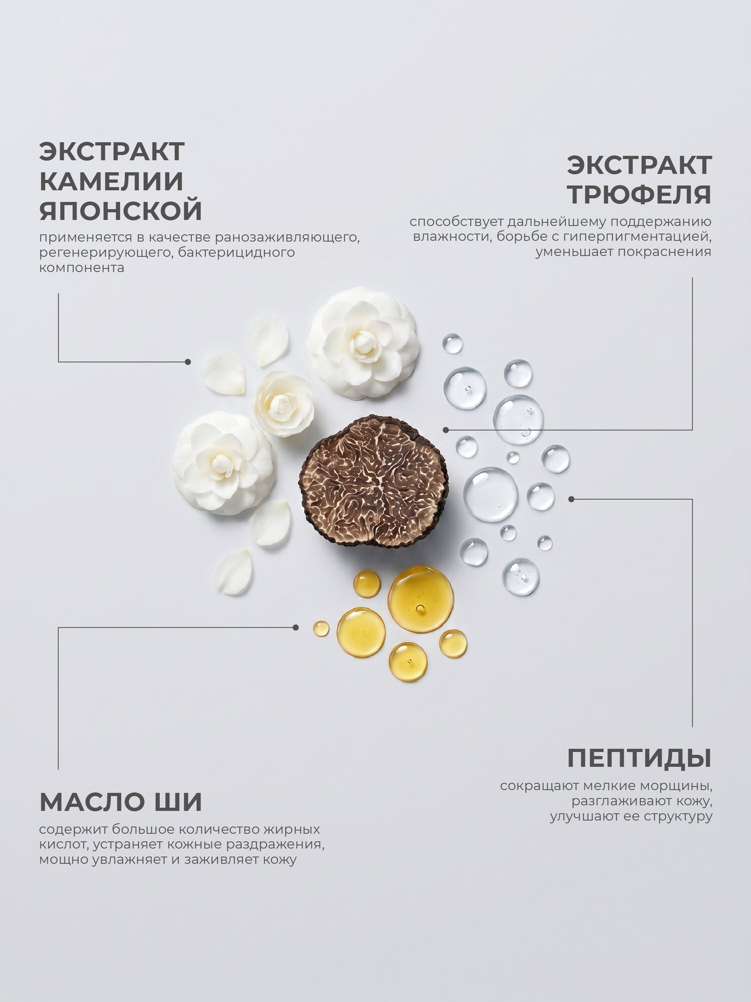 GRACEFACE Набор уходовых средств для лица с экстрактом трюфеля: лосьон, тоник, крем, сыворотка. — фото 1