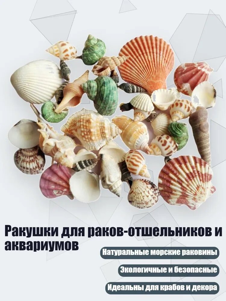 Ракушки для раков-отшельников и аквариумов