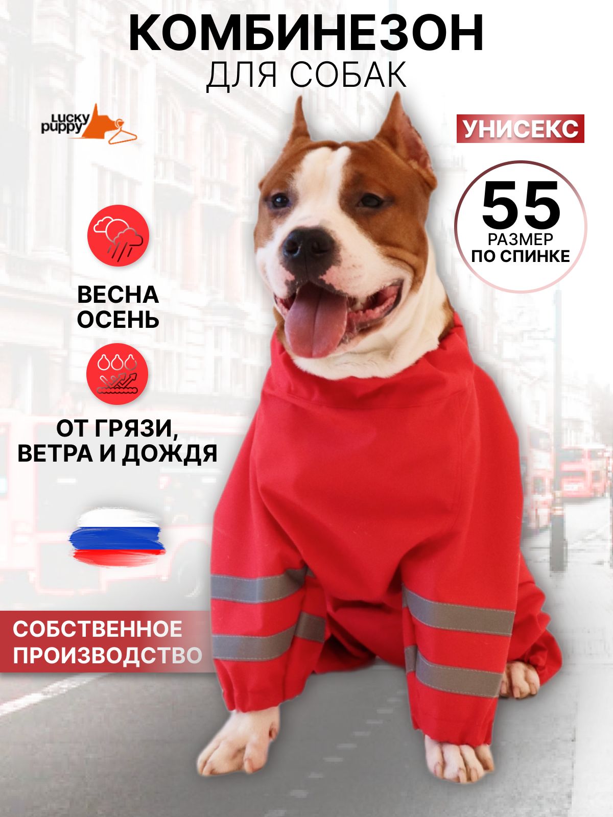 Комбинезон для собак от грязи дождевик