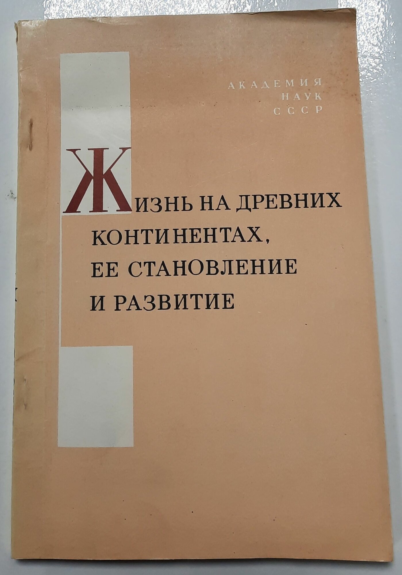Жизнь на древних континентах, ее становление и развитие.