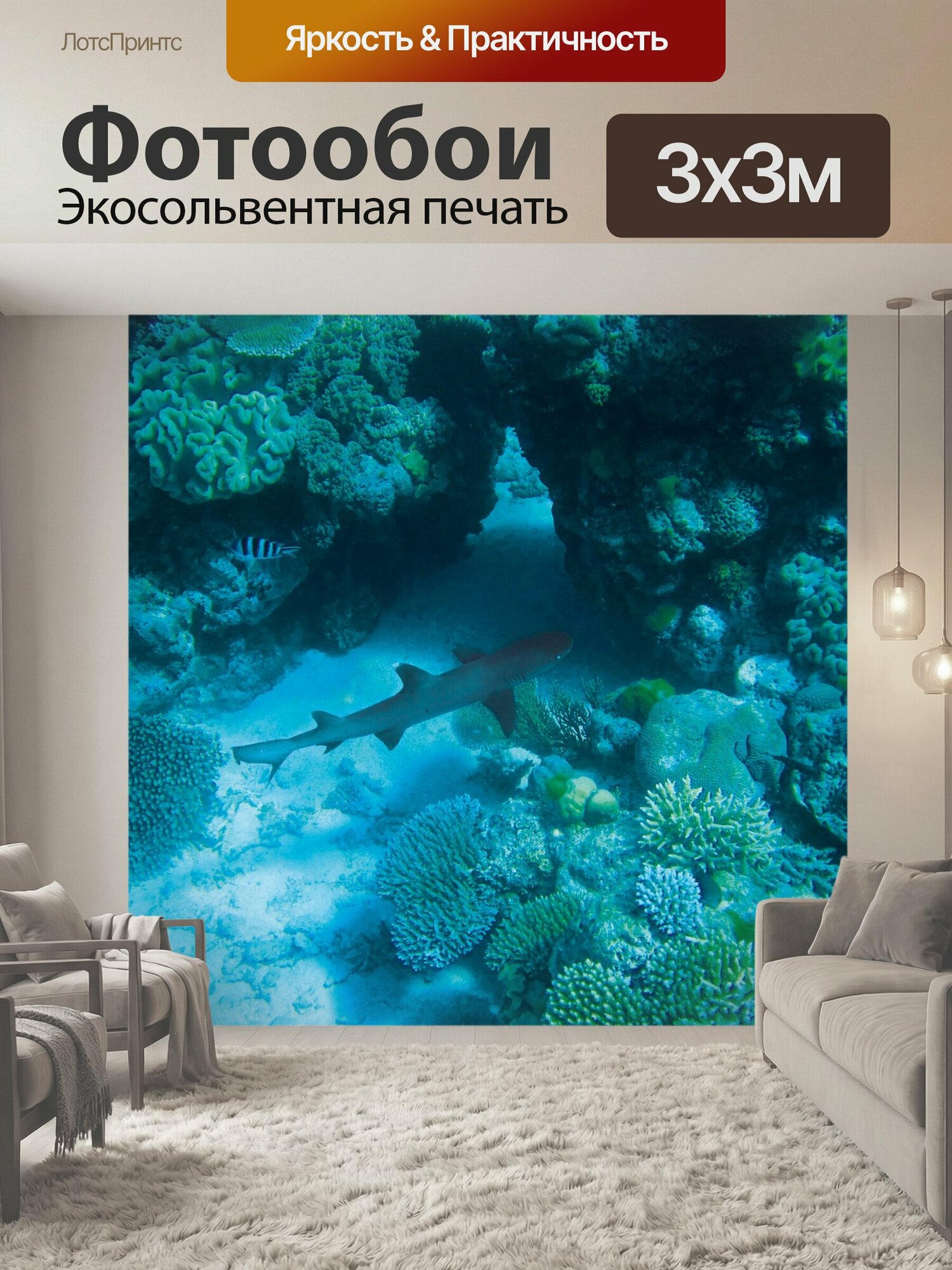 Фотообои "Акула, подводный, нырять" 300x300 см. экосольвентная печать