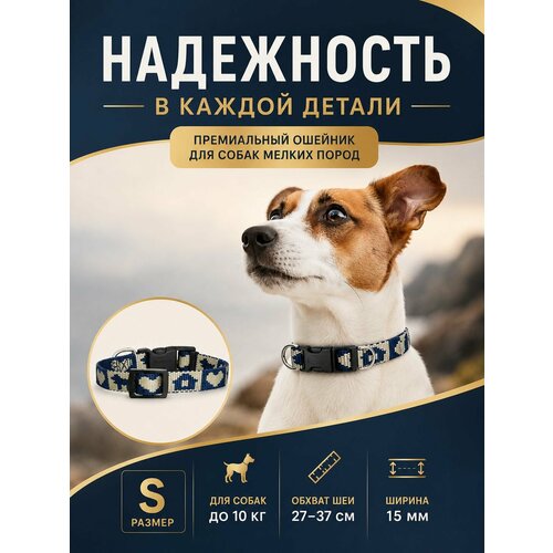 фото Ошейник для собак japan premium pet стильный и прочный, размер s, синий