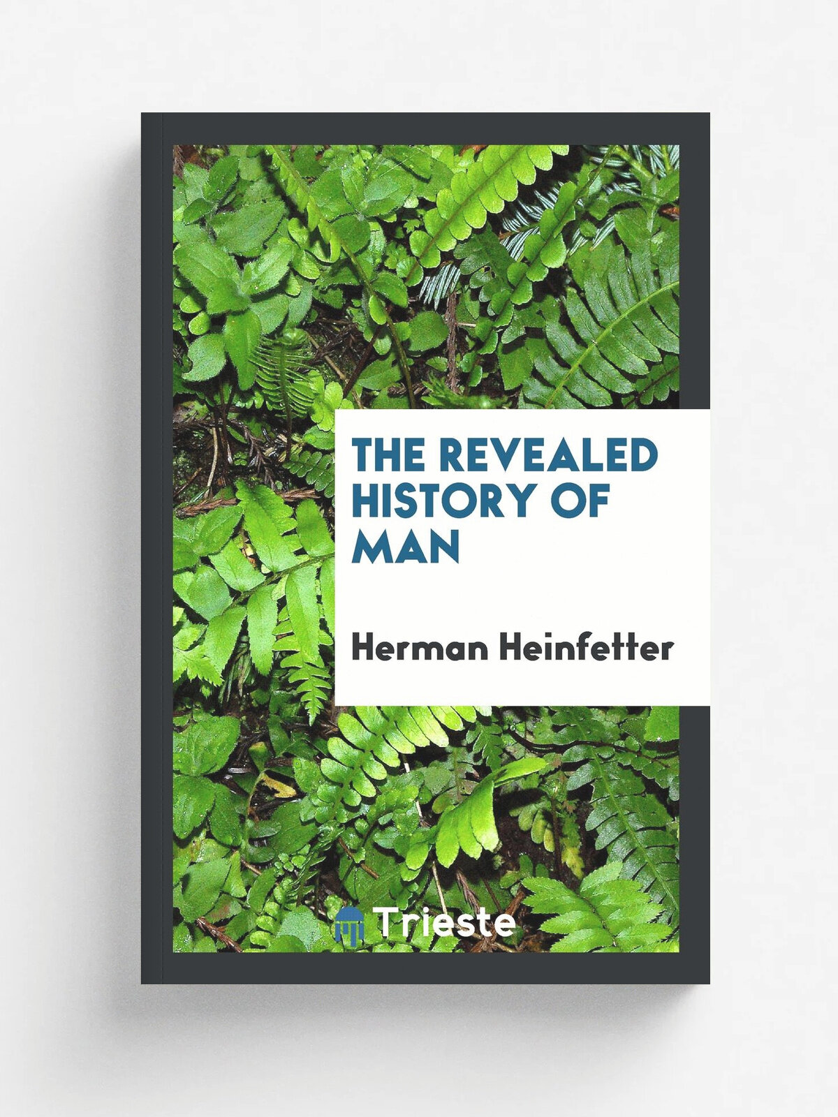 The Revealed History of Man