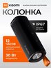 Портативная колонка Xiaomi "Sound Outdoor", 30 Ватт, USB-C, IP67, Bluetooth 5.4, 2600мАч, черная