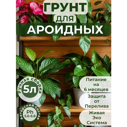 фото Готовый авторский грунт для ароидных, премиум 5 литров деметра