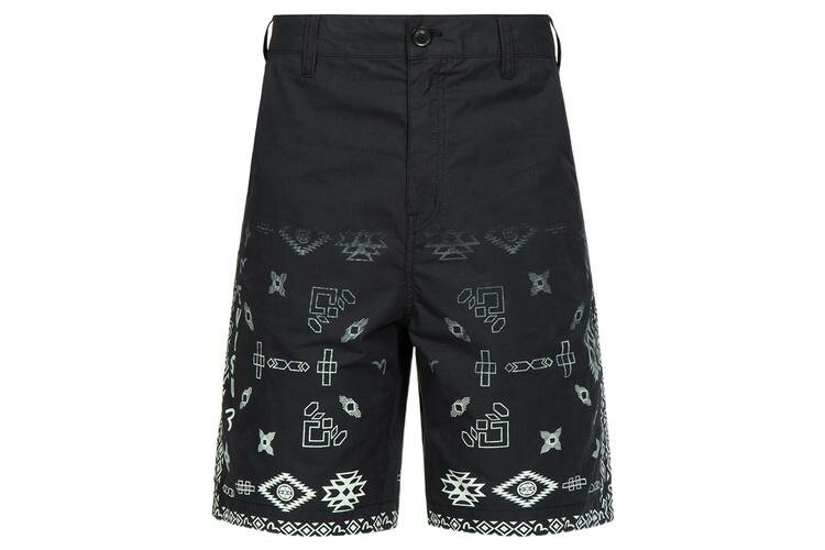Шорты Evisu SS23