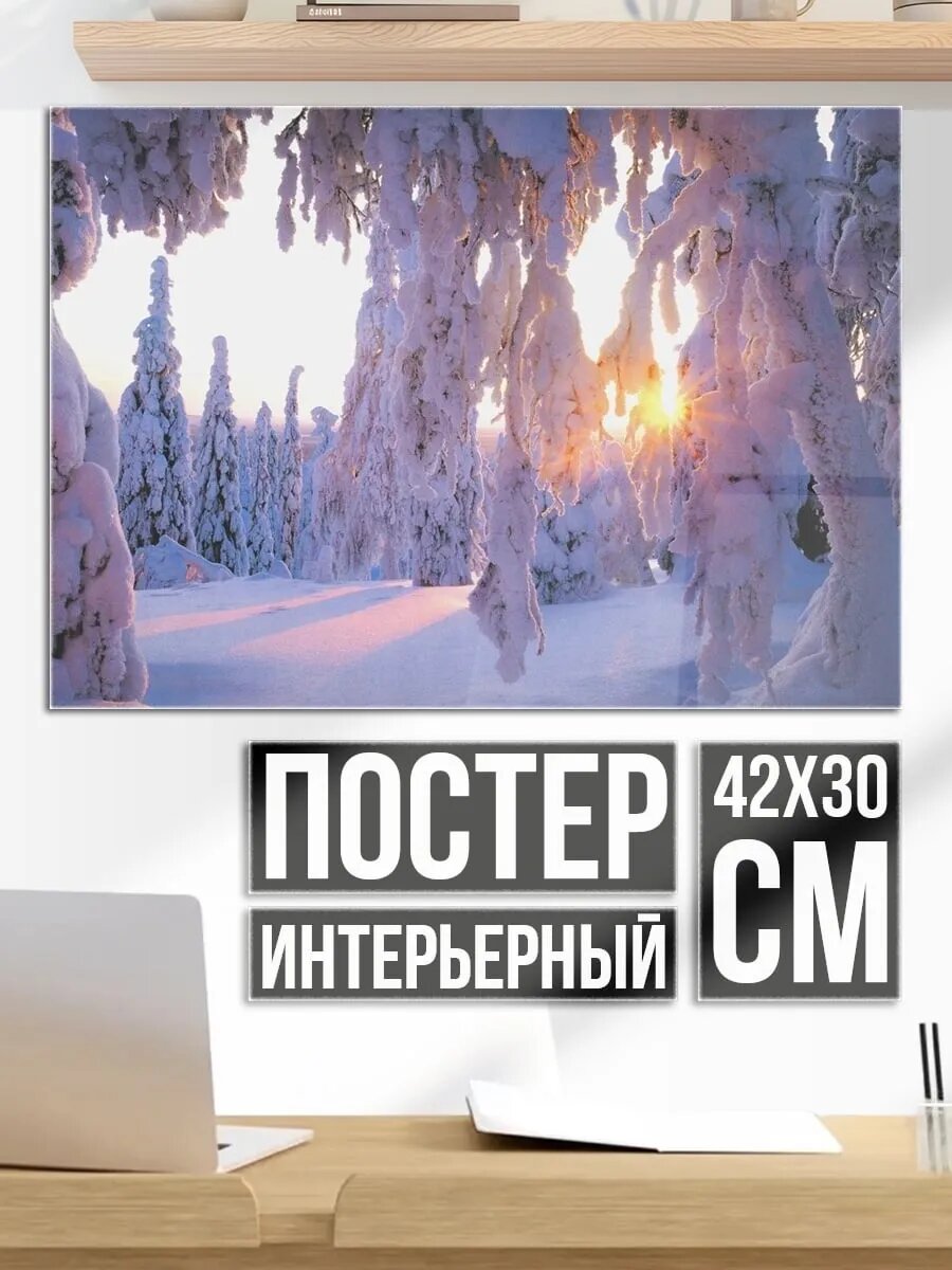 Плакат постер Зимний лес