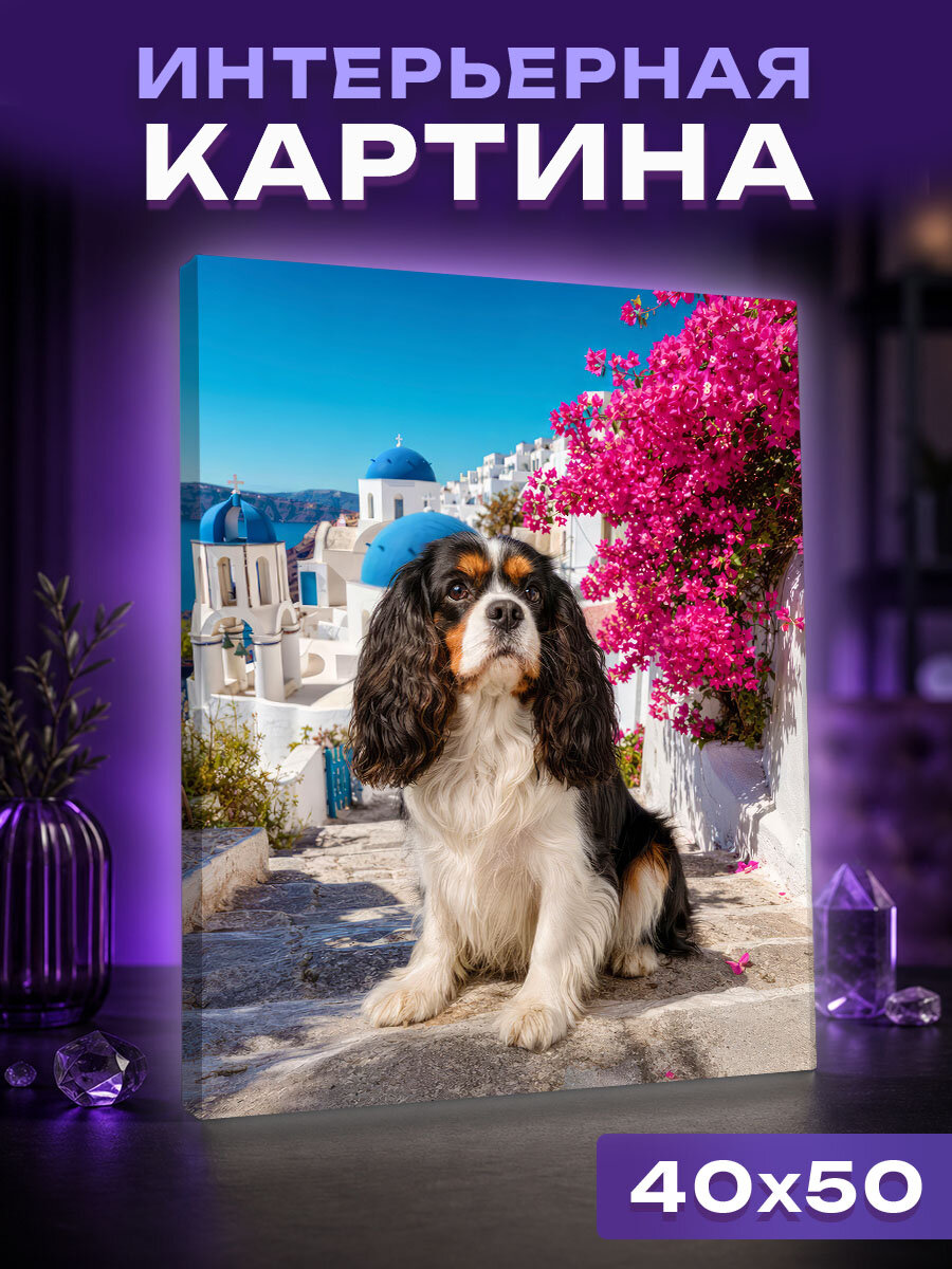 Интерьерная картина Спаниель у домиков острова Санторини