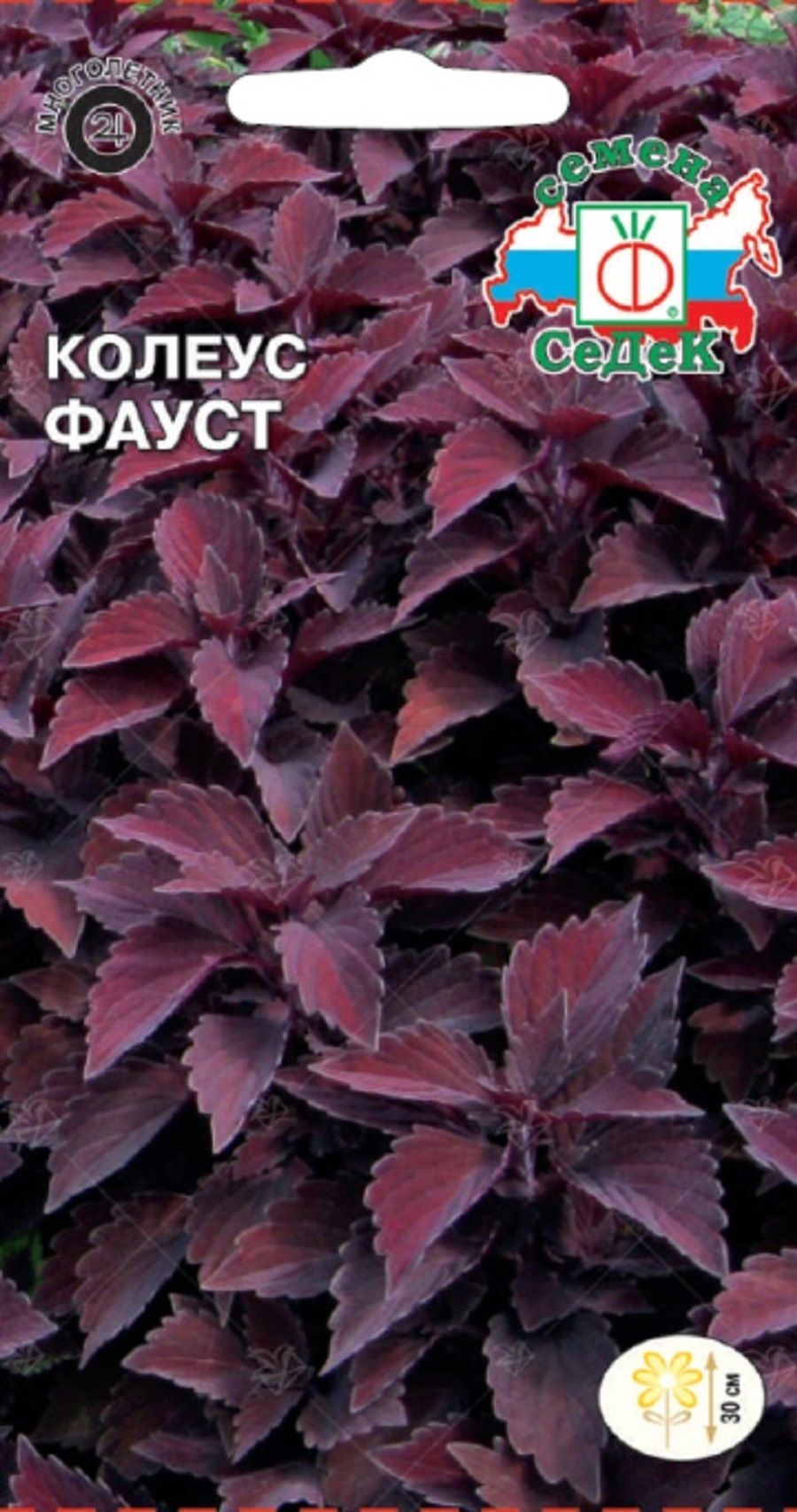 Колеус Фауст 0,1г /Седек