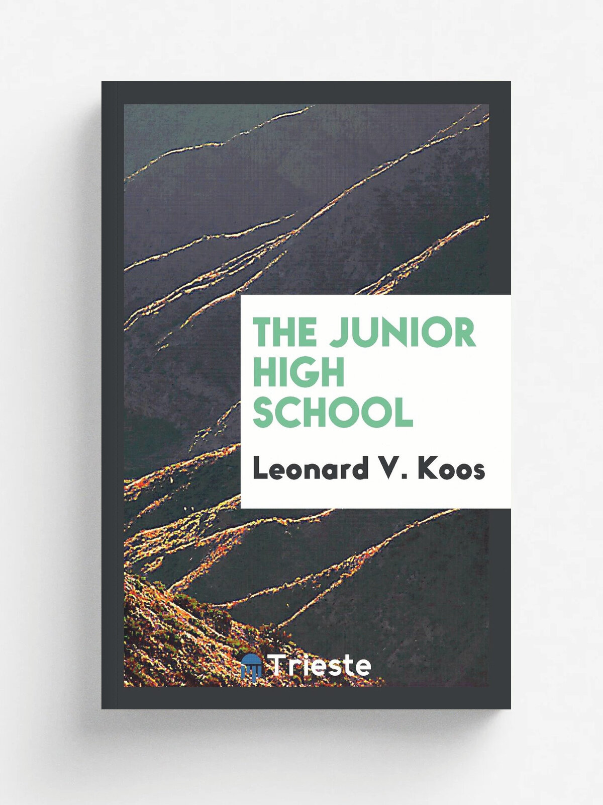 The junior high school