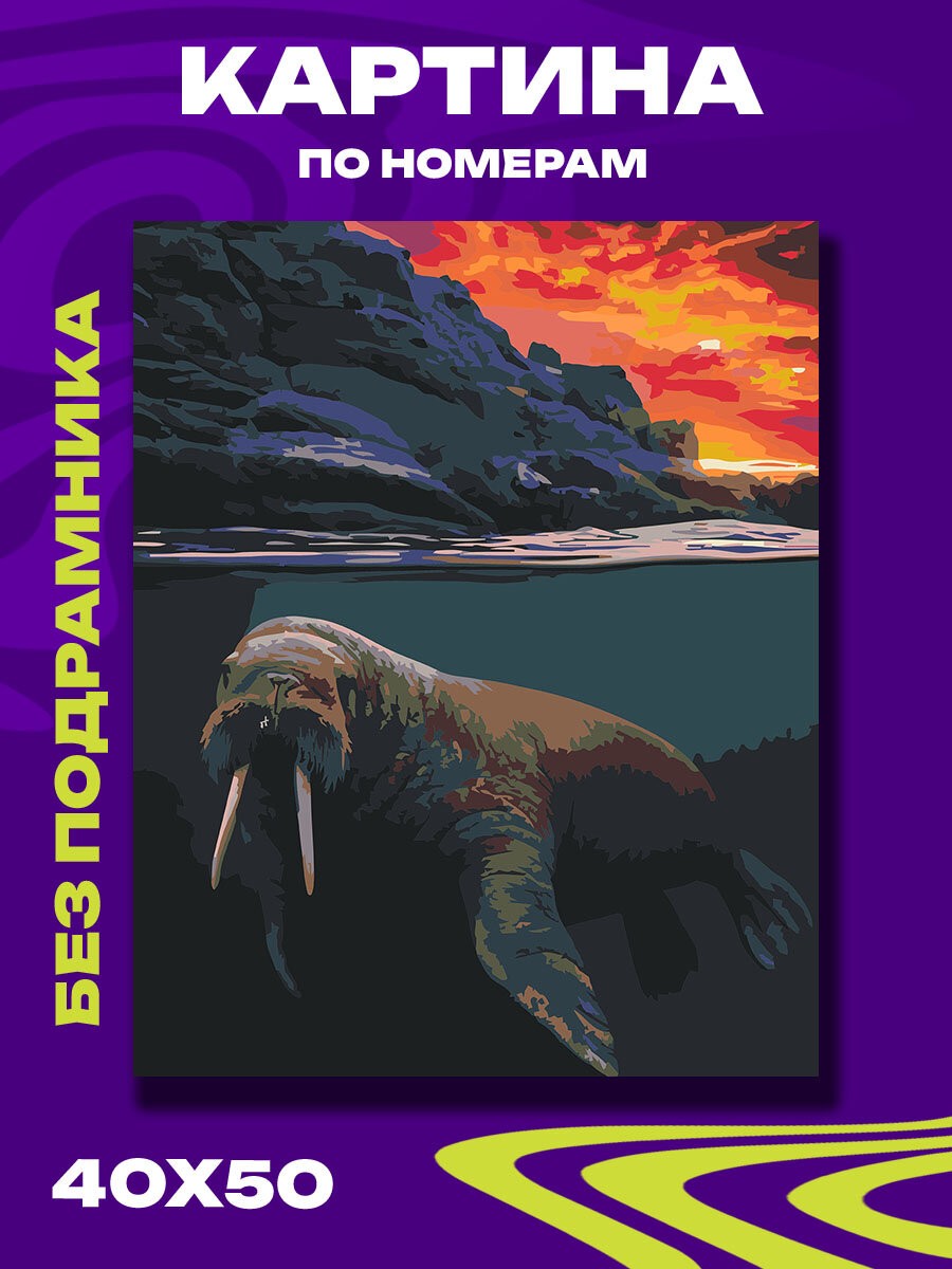 Картина по номерам Морж между морем и закатом