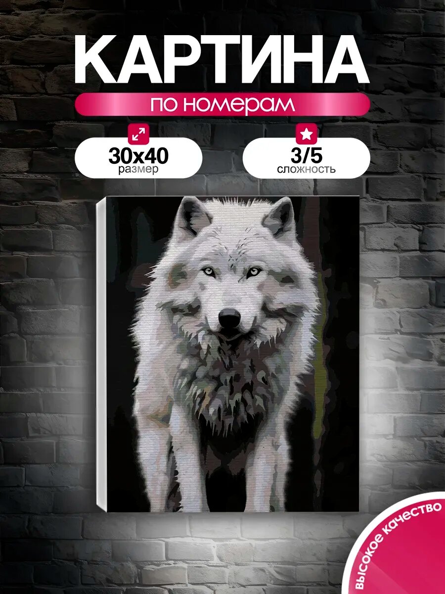 Картина по номерам 30x40 Белый волк