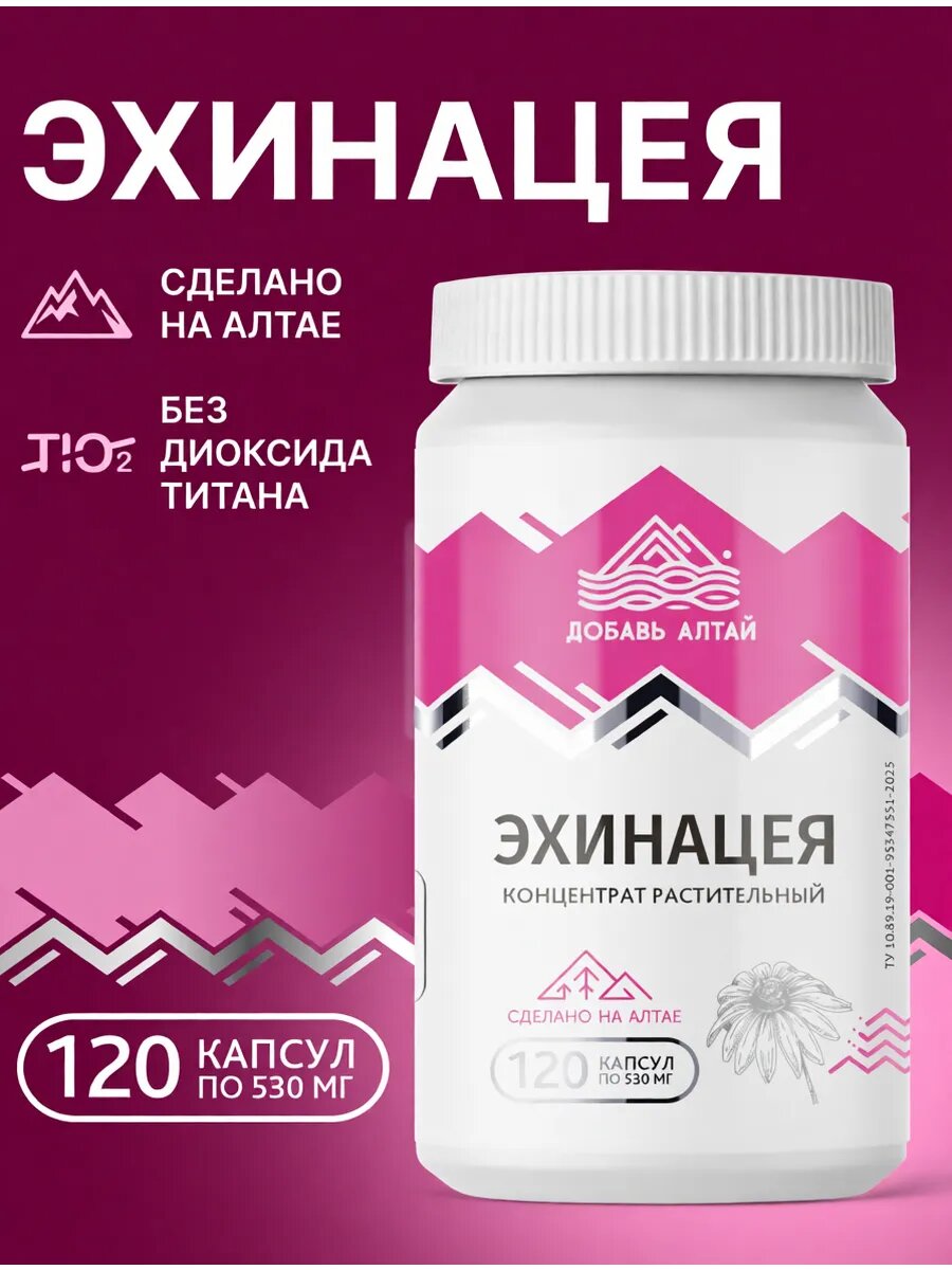 Эхинацея для иммунитета