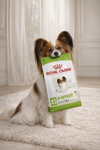 Изображение товара Сухой корм Royal Canin X-Small Adult для собак очень мелких размеров старше 8 лет 500 г (для мелких пород)