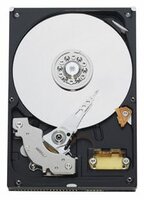 Жесткий диск Western Digital WD Blue 320 GB (WD3200AAJB)