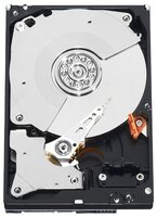 Жесткий диск Western Digital WD RE4 500 GB (WD5003ABYX)