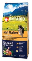 Корм для собак Ontario (12 кг) Adult Medium Lamb & Rice