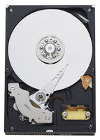 Жесткий диск Western Digital WD Blue 320 GB (WD3200AAKB)